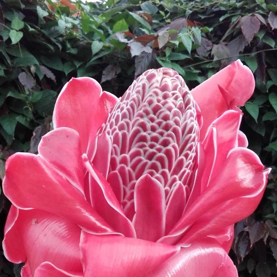 Albergaria Porcelana Sao Tome Buitenkant foto